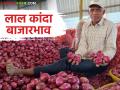 Kanda Market : आज नाशिक, सोलापूर मार्केटमध्ये लाल कांद्याला काय भाव मिळाला? वाचा सविस्तर बाजारभाव - Marathi News | Kanda Market | Latest agriculture News at Lokmat.com