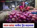 मागील महिनाभरात लाल कांद्याचे दर कसे बदलले, लासलगाव मार्केटमध्ये काय परिस्थिती आहे?  - Marathi News | Latest news Lal Kanda Market How have the prices of red onions changed in the past month | Latest agriculture News at Lokmat.com
