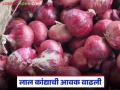 Kanda Market : घोडेगाव बाजार समितीत लाल कांद्याची आवक वाढली; वाचा कसा मिळतोय दर? - Marathi News | Kanda Market : Arrival of red onion increased in Ghodegaon Market Committee; Read how is the price being obtained? | Latest agriculture News at Lokmat.com