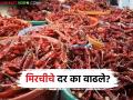 उन्हाळ्यात चटणी करताय? मग कोणत्या मिरचीला काय सुरु आहे दर? वाचा सविस्तर - Marathi News | Are you making chutney in summer? Then read what is the price of which chilli? Read in detail | Latest agriculture News at Lokmat.com