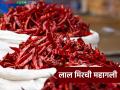 लाल मिरचीच्या दरात दुपटीने वाढ, मसालेही खाता आहेत भाव; वाचा किलोला किती रुपये दर? - Marathi News | Red chilli prices have doubled, spices are also eating up prices; Read: How much is the price per kilo? | Latest agriculture News at Lokmat.com