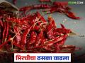लाल मिरचीचे भाव वाढले; कोणत्या प्रकारातील लाल मिरचीला मिळतोय सर्वाधिक दर? - Marathi News | Red chilli prices have increased; Which type of red chilli is fetching the highest price? | Latest agriculture News at Lokmat.com