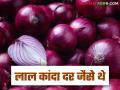 Kanda Market Update : लाल आणि उन्हाळ कांदा दरात किती रुपयांचा फरक, वाचा आजचे बाजारभाव - Marathi News | Latest News Kanda market How much is difference in price of red and summer onions see kanda bajarbhav | Latest agriculture News at Lokmat.com