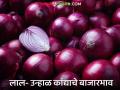 Kanda Bajarbhav : सोलापुरात 200 रुपये, तर लासलगाव बाजारात कांदा दर कितीने घसरले?  - Marathi News | | Latest agriculture News at Lokmat.com