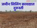 Land Ceiling : सिलिंग कायद्यात दुरुस्तीचे आदेश सात हजार एकर जमीन मालकांना परत मिळणार - Marathi News | Land Ceiling : 7 thousand acre land owners will get back the amendment order in the ceiling act | Latest agriculture News at Lokmat.com
