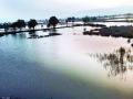अकरा गावांतील २७०० एकर शेतजमीन नापीक - Marathi News |  2700 acres of farmland in eleven villages, farmer, inferior | Latest raigad News at Lokmat.com