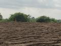 गडचिरोलीत पेरणीपूर्व शेत मशागतीच्या कामाला आला वेग - Marathi News | In Gadchiroli, farmers are preparing soil for farming | Latest gadchiroli News at Lokmat.com