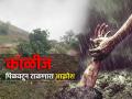 काल माळीण, तळीये, आज इर्शाळवाडी...; जिवंत माणसांचा विचार कुणी करणार की नाही? - Marathi News | Landslide in Irshalwadi, many people feared dead, whether the government will consider the people of the hilly areas or not | Latest maharashtra News at Lokmat.com