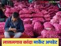 Lal Kanda Market : सोलापूर, लासलगाव कांदा बाजारात क्विंटलमागे 'इतक्या' रुपयांची सुधारणा, वाचा सविस्तर - Marathi News | Latest News Kanda Bajarbhav, Todays solapur and lasalgaon Onion Market price see details | Latest agriculture News at Lokmat.com