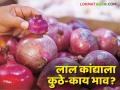 Lal Kanda Market : लासलगाव बाजारात लाल कांद्याला काय भाव मिळाला? वाचा आजचे बाजारभाव  - Marathi News | Latest News Kanda Market Update todays Lal Kanda Market Price in Lasalgoan See details | Latest agriculture News at Lokmat.com