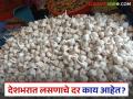 Lasun Market : यंदा लसूण लागवड करताय ना? लसूण झाला दहा हजारी, वाचा देशभरातील दर - Marathi News | latest news Lasun Market see price of garlic in market across country with Maharashtra | Latest agriculture News at Lokmat.com