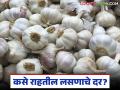 जुन्या लसणाचा हंगाम शेवटच्या टप्प्यावर, नवीन हंगाम लवकरच सुरु होणार; कसे राहतील दर? - Marathi News | The old garlic season is in its final stages, the new season will start soon; how will the prices be? | Latest agriculture News at Lokmat.com