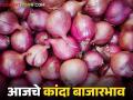 Kanda Market Update : सटाणा, कळवण बाजारात उन्हाळ कांद्याची चलती, वाचा आजचे बाजारभाव  - Marathi News | Latest News Kanda Market Update Satana, Kalwan market, summer onion highest price see details | Latest agriculture News at Lokmat.com