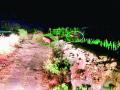 लौकी परिसरात आढळले बिबटे; ग्रामस्थ दहशतीखाली - Marathi News | Found in the gourd area; Landless horror | Latest pune News at Lokmat.com