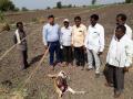 वाळूज शिवारात बिबट्याने केली हरणाची शिकार - Marathi News | Hail hunted by a leopard in the valleys | Latest chhatrapati-sambhajinagar News at Lokmat.com