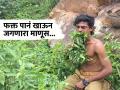 कमालच...! १० वर्षांपासून चपाती - भाजीचं पारंपारिक जेवण केलं बंद, फक्त पानं खाऊन जगतोय 'हा' माणूस - Marathi News | Interesting Facts : Karnataka this man survived on leaves for 10 years never falling ill | Latest jarahatke News at Lokmat.com