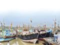 एलईडी, पर्ससीन मासेमारीमुळे पारंपरिक व्यवसाय धोक्यात - Marathi News | LED, percussion fishing threatens traditional business | Latest raigad News at Lokmat.com