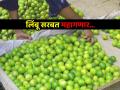 आंध्र प्रदेश, तेलंगणामधील लिंबूवर सध्या देशाची मदार; मुंबईमधून विविध राज्यांत पुरवठा - Marathi News | The country is currently dependent on lemons from Andhra Pradesh and Telangana; Supply to various states from Mumbai | Latest navi-mumbai News at Lokmat.com