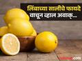 लिंबाच्या सालीचे काय असतात फायदे? वाचाल तर कधीच फेकणार नाही! - Marathi News | Amazing Benefits and Uses of Lemon Peel | Latest health News at Lokmat.com
