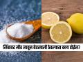 मीठ लावून लिंबू बेडखाली ठेवा, घरात वाटेल फ्रेश-डासही होतील कमी-पाहा सोपा उपाय - Marathi News | What is happening when cut lemons with salt is put under a bed | Latest sakhi News at Lokmat.com