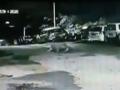 घोडबंदर गावात मुक्तपणे फिरणारा बिबट्या सीसीटीव्हीत कैद - Marathi News | cctv footage leopard in Ghodbunder gaon | Latest thane Videos at Lokmat.com