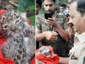 मॉर्निंग वॉकसाठी गेलेल्या ठाणेकरांना घडलं बछड्याचं दर्शन - Marathi News | cub found in thanes yeoor shifted to national park by forest department | Latest thane News at Lokmat.com