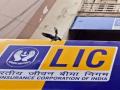 LIC IPO : या पॉलिसीधारकांना नाही मिळणार एलआयसी आयपीओमध्ये सूट; तुमच्याकडे आहे का? तपासा... - Marathi News | LIC IPO: Pradhan Mantri Jeevan Jyoti Bima Yojana policyholders will not get discount in LIC IPO; Do you have...please cheack important | Latest business Photos at Lokmat.com