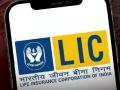 एलआयसीला एका दिवसात ₹१००० कोटींचं मोठं नुकसान, ‘या’ खासगी बँकेचा शेअर ५ वर्षांच्या लो वर - Marathi News | | Latest business News at Lokmat.com