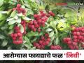 गुणकारी आरोग्यदायी लिची फळाचे पोषण मूल्य आणि आरोग्यास होणारे लाभ - Marathi News | Nutritional value and health benefits of lychee fruit | Latest agriculture News at Lokmat.com