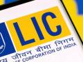 LIC चे तिमाही निकाल जाहीर; नफा 31% ने वाढला अन् ₹10,098 कोटींचा आकडा गाठला... - Marathi News | | Latest business News at Lokmat.com
