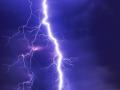 हिंगोली जिल्ह्यात वीज पडून महिलेसह तीन जनावरे दगावली - Marathi News | Three animals and a woman, were killed in a lightning strike in Hingoli district | Latest hingoli News at Lokmat.com