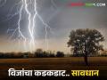 Lightning Care विजांचा कडकडाट; शेतकऱ्यांनो कशी बाळगाल सावधानता - Marathi News | Lightning Care; Lightning; How should farmers be careful? | Latest agriculture News at Lokmat.com