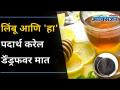 लिंबू आणि 'हा' पदार्थ करेल डॅंड्रफवर मात | 5 Ways Lemon Can Treat Dandruff | Lokmat Oxygen - Marathi News | Lemon and 'this' food will overcome dandruff 5 Ways Lemon Can Treat Dandruff | Lokmat Oxygen | Latest oxygen Videos at Lokmat.com