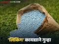 Fertilizer Linking : 'लिंकिंग' विरोधात माफदा ठाम; खत कंपन्यांना दिला इशारा वाचा सविस्तर - Marathi News | latest news Fertilizer Linking: Afda firm against 'linking'; warns fertilizer companies Read in detail | Latest agriculture News at Lokmat.com