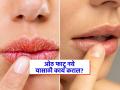 थंडीत ओठ फुटतात, रक्त येतं, भेगाही पडतात? ५ उपाय-हिवाळ्यातही ओठ राहतील मऊमुलायम गुलाबी - Marathi News | Easy tips to take care of lips in winter | Latest sakhi News at Lokmat.com