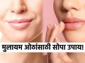 ड्रायनेस घालवून ओठ मुलायम करेल 'हा' सोपा नॅचरल उपाय, रंगही उजळेल! - Marathi News | Natural remedy will soften your lips by removing dryness | Latest sakhi News at Lokmat.com