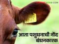 Animal Ear Tagging हे करा.. नाहीतर पशुधनाची खरेदी-विक्री करण्यास १ जून २०२४ पासून प्रतिबंध - Marathi News | Do this.. Else ban on sale and purchase of livestock from June 1, 2024 | Latest agriculture News at Lokmat.com