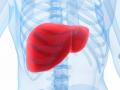 यकृताशी संबंधित आजारांवर ‘ग्लायकाेथेरेपी’ अचूक निदान करेल - Marathi News | 'Glycotherapy' will accurately diagnose liver related diseases | Latest nagpur News at Lokmat.com