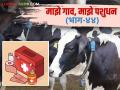 प्रत्येक गोठ्यात पशुप्रथमोपचार पेटी का असावी? व त्यात काय असावे? वाचा सविस्तर - Marathi News | Why should every cowshed have a first aid kit? and what should be in it? Read in detail | Latest agriculture News at Lokmat.com