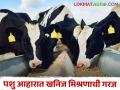 जनावरांत खनिज मिश्रणाची कमतरता असेल तर काय आढळतात लक्षणे - Marathi News | What are the symptoms of mineral deficiency in animals? | Latest agriculture News at Lokmat.com