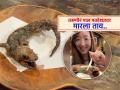 तरुणीनं मिटक्या मारत खाल्ली फ्राय केलेली पाल, कुणी कौतुक केलं तर कुणी घेतली शाळा - Marathi News | Japanese girl eats fried lizard weird video goes viral | Latest sakhi News at Lokmat.com