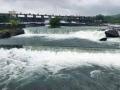 राज्यातील कोणत्या धरणातून किती क्युसेक विसर्ग सुरू? वाचा सविस्तर... - Marathi News | | Latest agriculture News at Lokmat.com