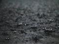 मराठवाड्यात मुसळधारा, शेतकरी सुखावला, कुठे काय परिस्थिती? - Marathi News | Rain in Marathwada, farmers happy, situation of rain in Marathwada | Latest agriculture News at Lokmat.com