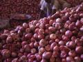 एनसीसीएफच्या कांदा खरेदीला प्रतिसाद - Marathi News | Response to NCCF onion procurement | Latest agriculture News at Lokmat.com