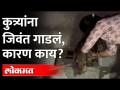 कुत्र्याच्या जिवंत पिल्लांना भिंतीत का गाडलं? Dog Rescued From Borivali | Mumbai | Maharashtra News - Marathi News | Why bury live puppies in a wall? Dog Rescued From Borivali | Mumbai | Maharashtra News | Latest mumbai Videos at Lokmat.com