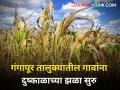 खरिपातील चारा अवकाळीत काळवंडला, रब्बी पिकांसाठी पाणीच नाही - Marathi News | Kharib fodder turned black in untimely season no water for rabi crops farmer agriculture | Latest agriculture News at Lokmat.com