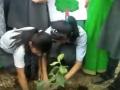 हजार वेलींची लागवड करुन साजरा केला पर्यावरण दिन - Marathi News | Celebration of 1000 lacs and Environment Day | Latest nashik Videos at Lokmat.com