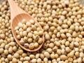सोयाबीनच्या ३२९ तक्रारींत बियाणे सदोष; कंपनीवर गुन्हा दाखल - Marathi News | Seed defective in 329 soybean complaints; Filed a crime against the company | Latest vardha News at Lokmat.com