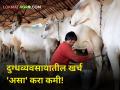 Smart Dairy Farming : दुग्धव्यवसाय फायद्यात राहण्यासाठी चाऱ्यावरील खर्च करा कमी - Marathi News | Smart Dairy Farming In dairy farming save money in this housemade option | Latest agriculture News at Lokmat.com