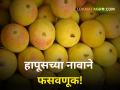 पुण्यात हापूसच्या नावाने फसवणूक! रत्नागिरी-देवगडच्या नावाने घेतलेला हापूस कर्नाटकचा तर नाही ना? - Marathi News | pune market yard mango selling fraud Isnt the Hapus named Ratnagiri Devgad from Karnataka | Latest agriculture News at Lokmat.com
